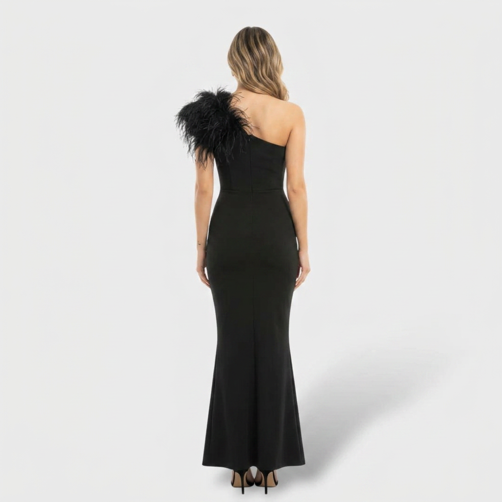 Elegantne Maxi Kleidiga Sulgedega